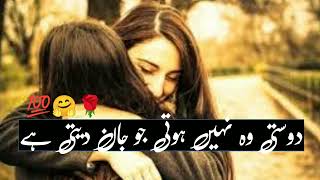 Dosti Shayari  | Friendship Shayari 2 line | New Friendship Poetry in Urdu 2022 Resimi