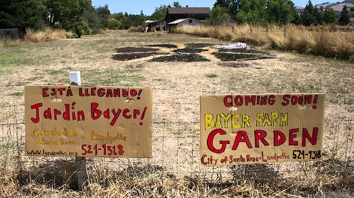 Center for Community Health and Evaluation: Group Health Research Institute