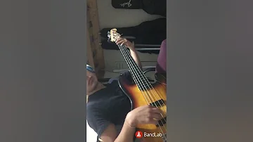 Te robare Bass cover