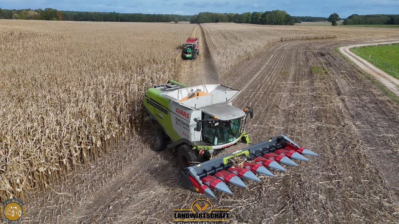 Diese Fläche machen wir jetzt Platt! 400ha Körnermais Dreschen Lebensmittel & Tierfutter Produktion