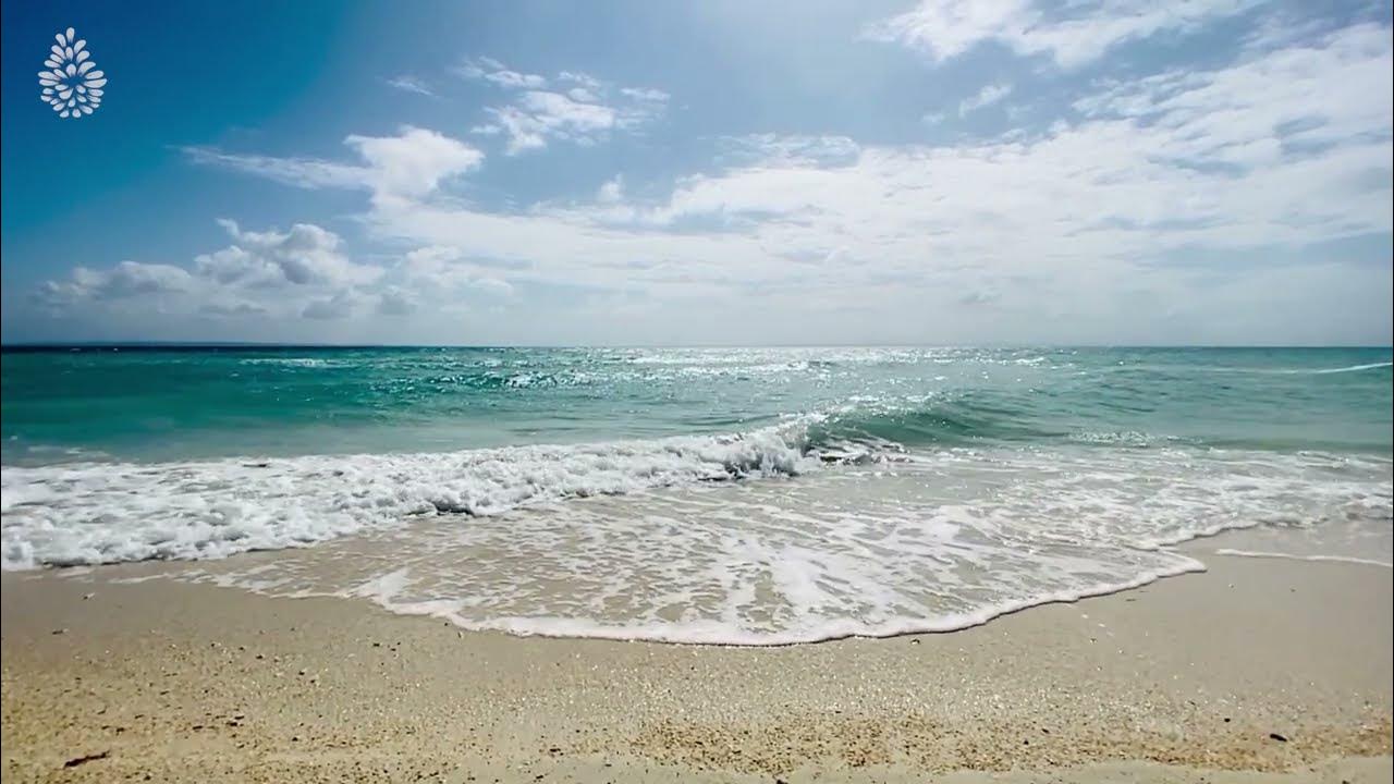 Ocean Waves Music for Deep Sleep, Relaxation, Reading, Focus, Meditation Ocean Waves Music for Deep Sleep, Relaxation, Reading, Focus, Meditation