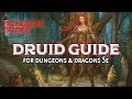 Druid Class Guide for Dungeons and Dragons 5e