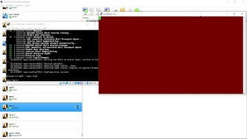 vyos console access using putty