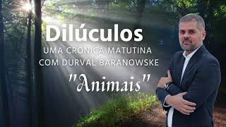 Dilúculos "Animal" por Durval Baranowske