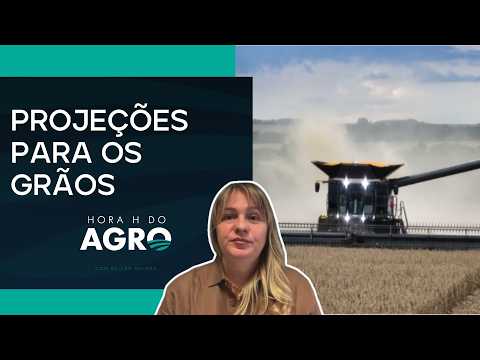 Heat Over 100°F Accelerates Grain Maturation in the US | AGRO H-HOUR