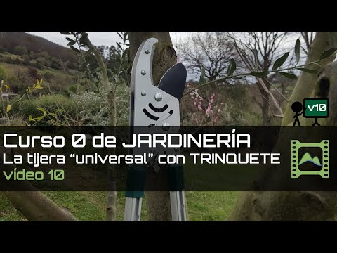 Video: Podadora De Trinquete: ¿que Podadora De Jardín Es Mejor? Características De Los Modelos De Titanio Con Trinquete. ¿Cómo Elegir Una Podadora Profesional?