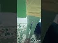العفريت