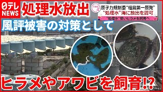 【福島第一原発】