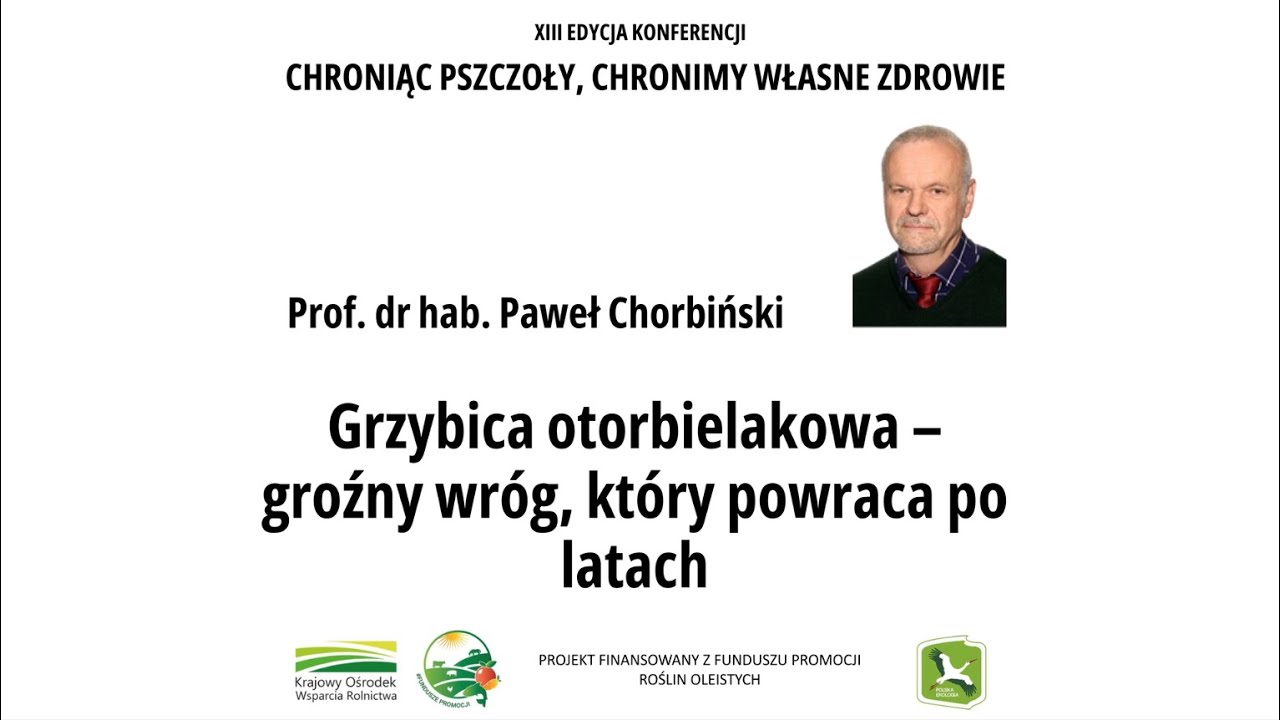 Prof. dr hab. Paweł Chorbiński 