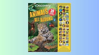 Animals All Around