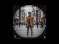 [FREE] Rema Type Beat - "Diamond Fracture" | Afrobeat Beat 2026
