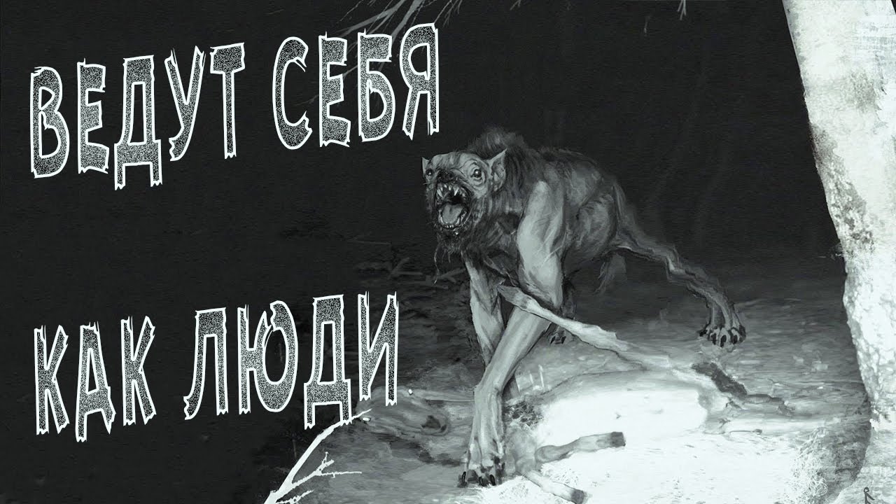 Ночные существа снятые на камеру |  Они среди нас?