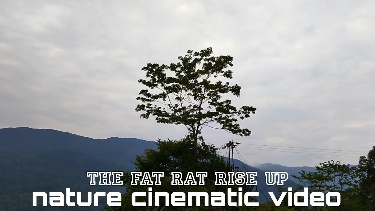 The Fat Rat Rise Up Nature Cinematic Video #nature #beauty #trending ...