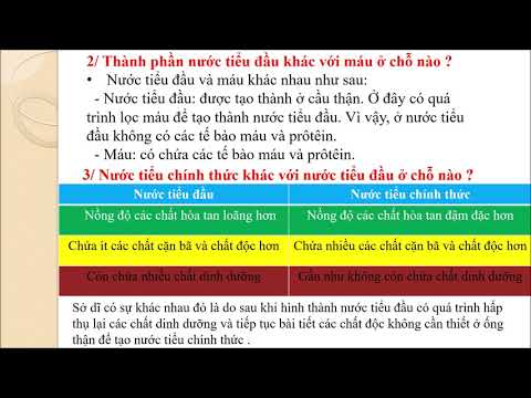 Sinh Học 8 - Tuần 22 - HỆ BÀI TIẾT NƯỚC TIỂU