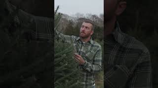 Tree Tagging - Instructional Video