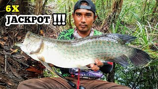 JACKPOT..!! DAPAT IKAN PULUHAN JUTA || CASTING IKAN ARWANA SUNGAI KALIMANTAN