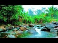 Tranquil River Flow 🌙 Relaxing Nature Sounds for Mind and Body