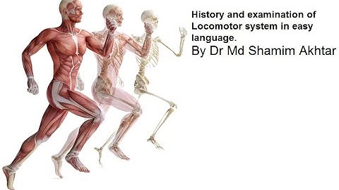History and examination  of Locomotor system.