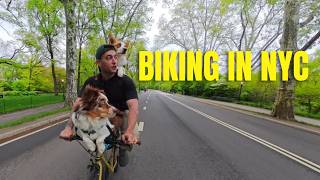 I biked all day in NYC