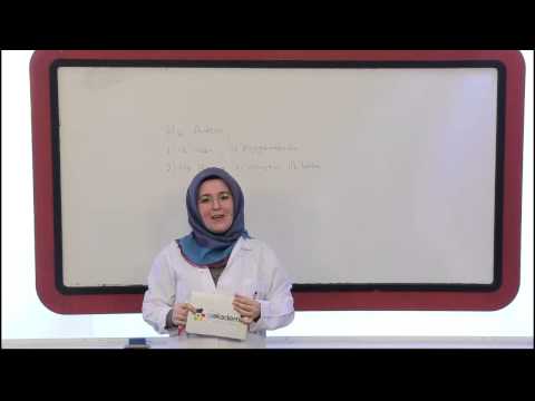 İmam Hatip 5. Sınıf Kuranı Kerim Eğitim Seti
