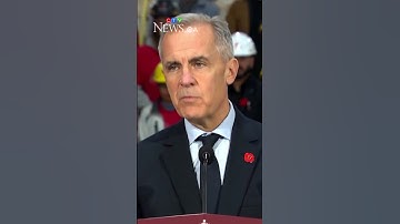 Carney laying out ‘4D chessboard’ with Smith: analyst