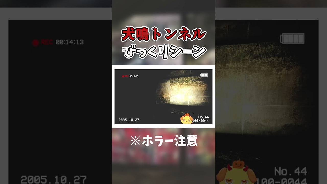 心霊スポットで思わずびっくりなシーン【犬鳴トンネル】【ホラゲー】#shorts