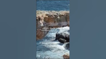 قرآن الكريم سورة الأحزاب الآية 41The Holy Quran, Surah Al-Ahzab, Verse 41 #قران_كريم #انقذوا_غزة