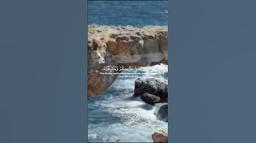 قرآن الكريم سورة الأحزاب الآية 41The Holy Quran, Surah Al-Ahzab, Verse 41 #قران_كريم #انقذوا_غزة