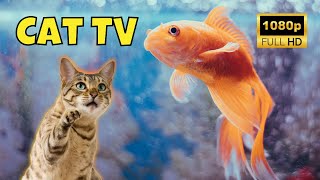 Cat TV: Videos for Cats 😺 1 Hour of Fish 🐟 Ep. 33