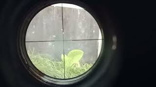 SHARP INOVA FULL MODIF YUMAJA POLYGON SEMPITERNAL A6