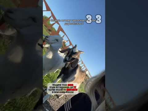 😁 😂Потому что в деревне самые красивые ,завидуют 🤔😉😉Вк Ylua Sulyak 😉😇#ре