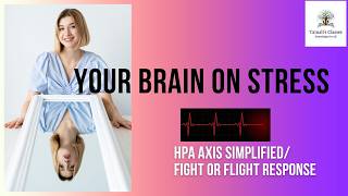 Stress response biology |Brain | HPA |Fight or Flight response |Cortisol |Dr Tamali Sinha