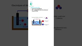 Electrolysis Of Molten Salts Part 2