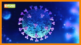 Pfizer Inc. begins human trials for a drug that could treat COVID-19