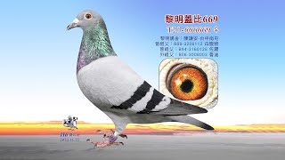 【陳謙安】T21-666669