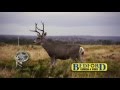 Deep Fork Productions/BSI: Videography for the Outdoorsman