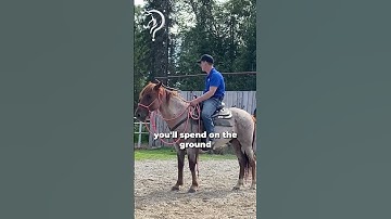 Working With A Client’s EMM Mustang! Part 6! | The Horse Guru - Michael Gascon