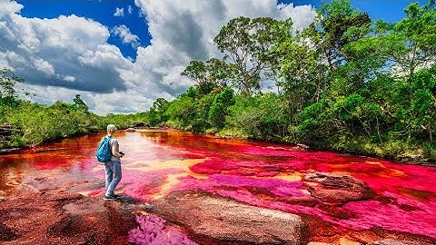 River of Five Colors / Caño Cristales, Colombia 🇨🇴