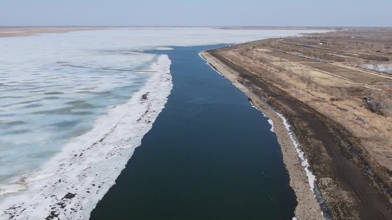 興凱湖に北上する渡り鳥が飛来　黒竜江省密山市
