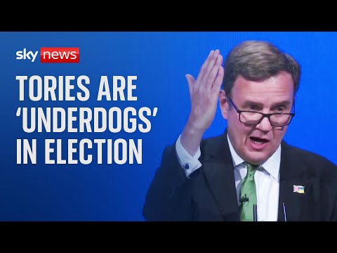 Tories are 'underdogs' in next election – Conservative chair