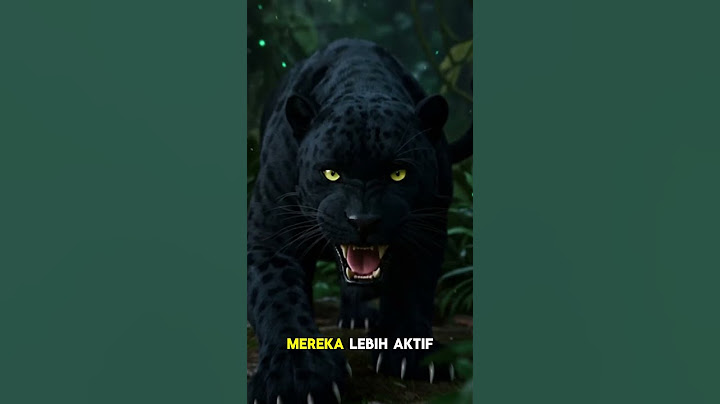 Alasan Macan Kumbang Sulit di Temui #shorts #fakta #macan