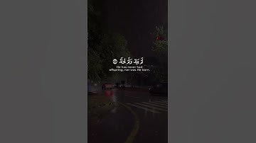 عبد تلرحمان مسعد سورة الاخلاص