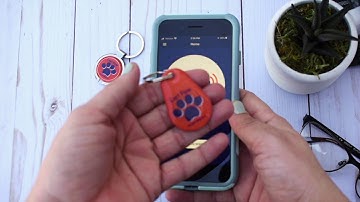 How to Scan NFC with an iPhone 7, 7 Plus, 8, 8 Plus and 10