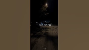 #قرآن #قران_كريم #المنشاوي #سورة_الحشر #quran24k ❤️