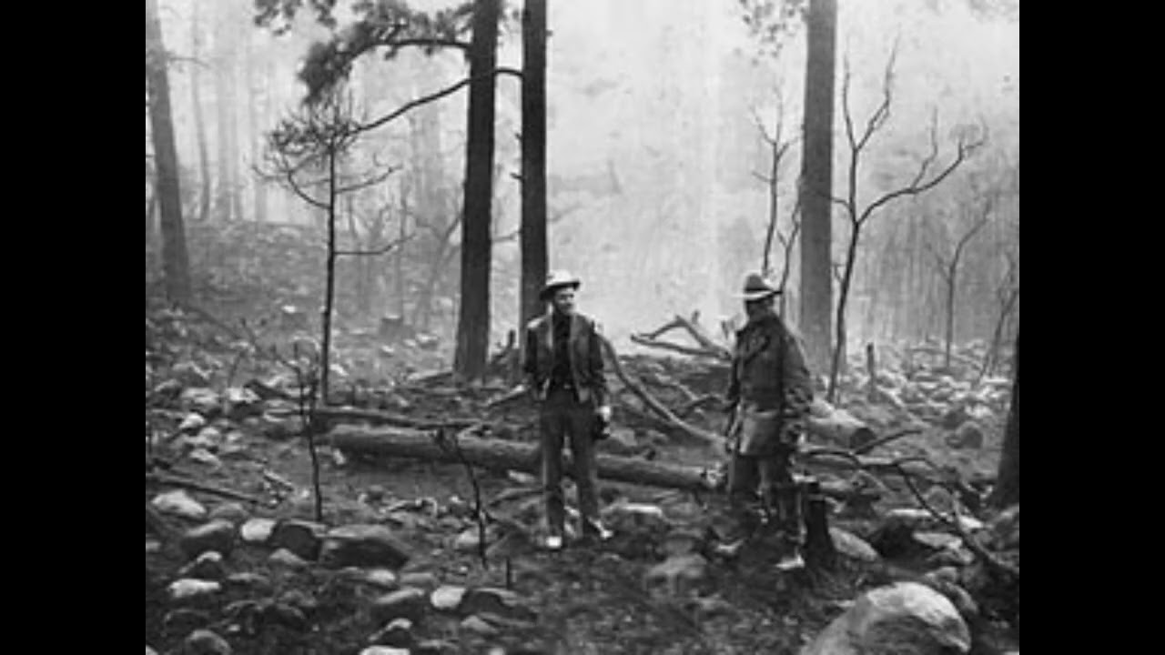 Misc 1: Forest Fires -STICKERBOMB