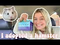 I adopted a hamster  getting my robo dwarf hamster vlog