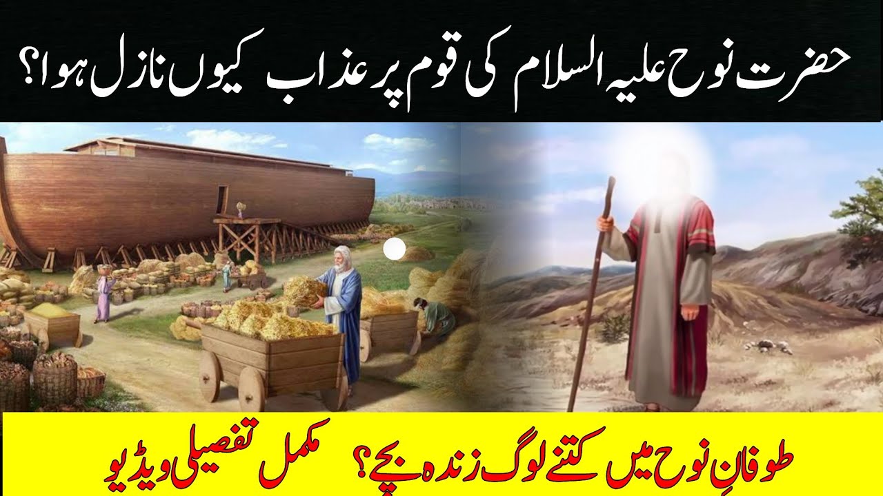 hazrat nooh as ki kashti noah prophet nuh نوح info with adil