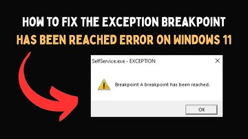 How to Fix The Exception Breakpoint Has Been Reached Error on Windows 11