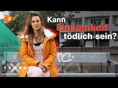 Video: Können Termiten krank machen?