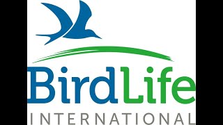 Join the Saudi Birding team for the October Big Day and Help Support BirdLife International! by Saudi Birding 75 views 2 years ago 3 minutes, 15 seconds